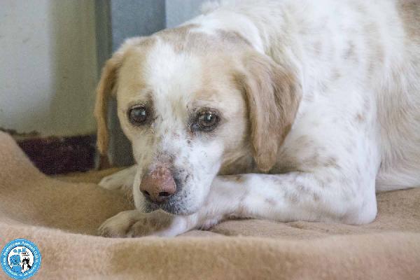 Emily, La Delicatezza Che Chiede Solo Pace